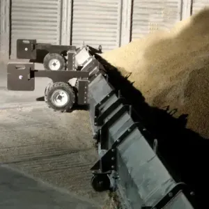Daay Bin Paddle Sweep