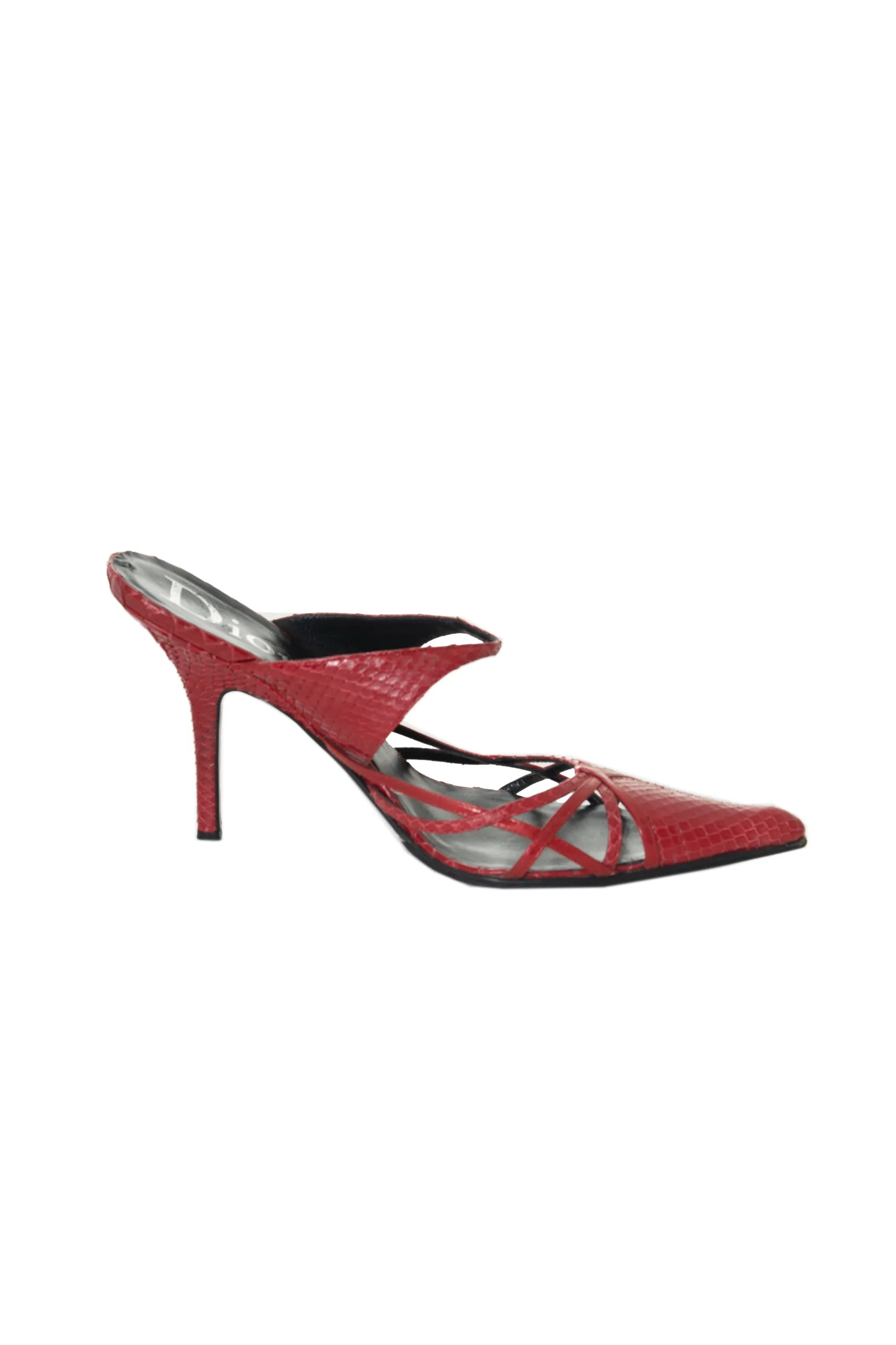 Pointed Toe Python Heels